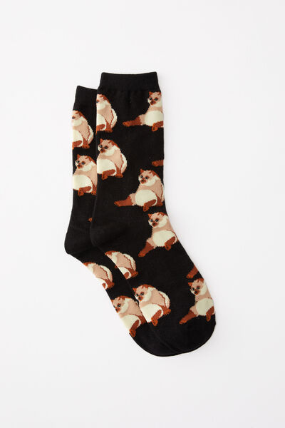 Socks, FAT CATS