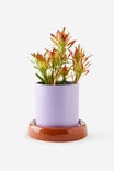 Bulbous Planters, GINGERBREAD / ORCHID - example image 2