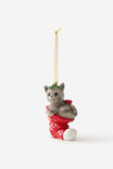 Select Colour: KITTEN IN STOCKING