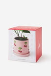 Midi Planter With Tray, CHERRIES - alternate image 2