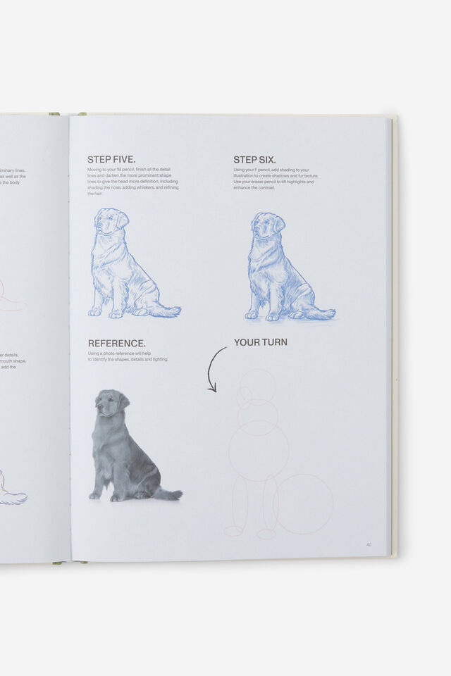 A4 Luxe Upskill Activity Journal, SKETCH & COLOUR ANIMALS