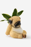 Midi Shaped Planter, PUG - alternate image 2