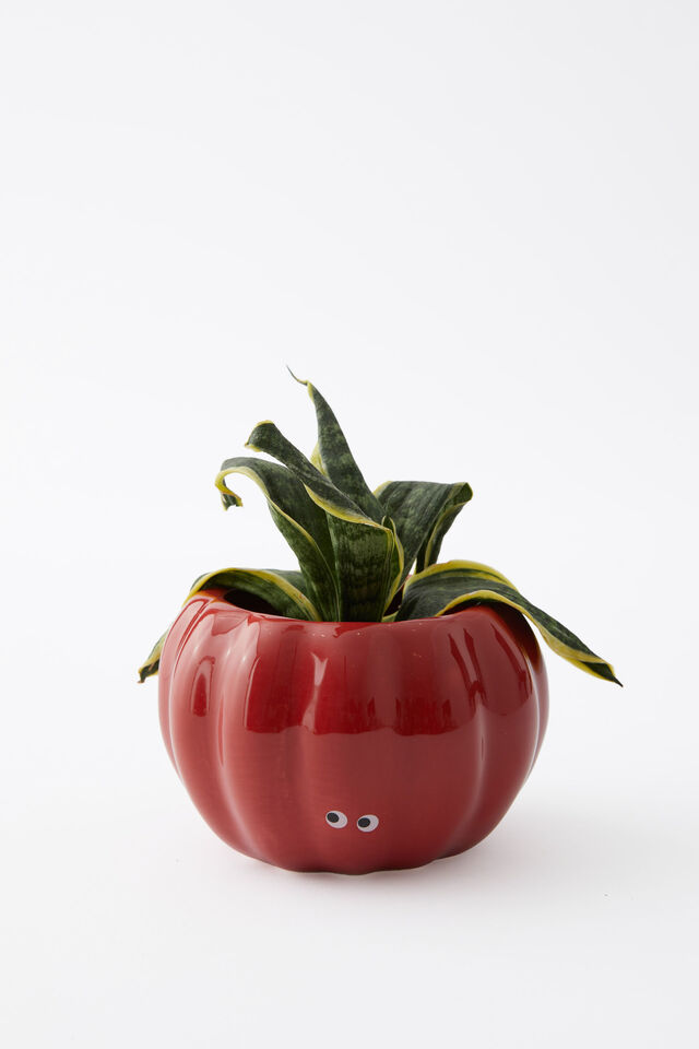 Midi Shaped Planter, TOMATO