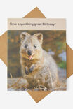 HAVE A QUOKKING GREAT BIRTHDAY