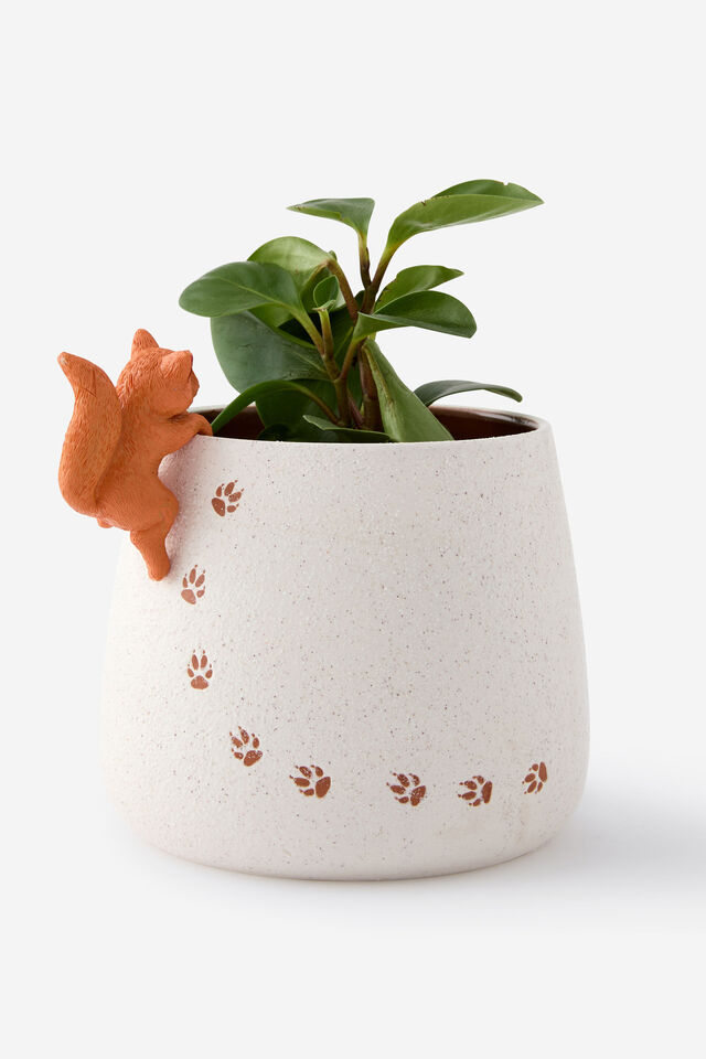 Hanging Around Planter, FOX