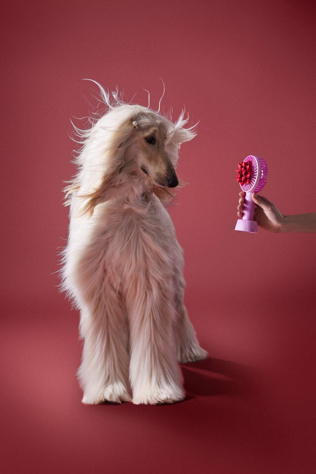 Desktop Fan, CANDY PINK SWIRL