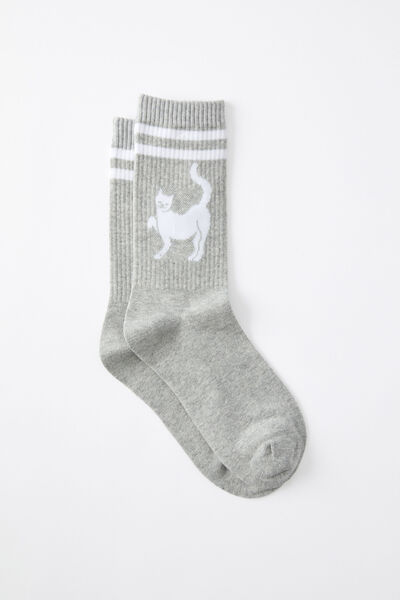 Socks, FELINE FINE