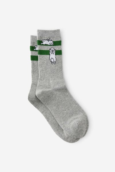 Socks, RABBITS