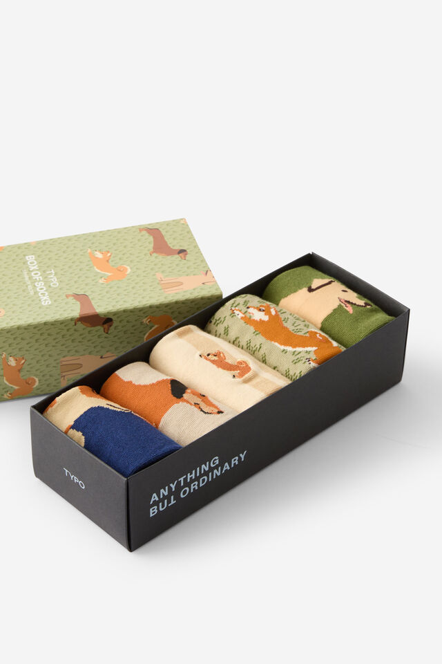 Box Of Socks, DOGS & FOXES (M/L)