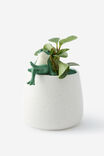 Hanging Around Planter, FROG - alternate image 1
