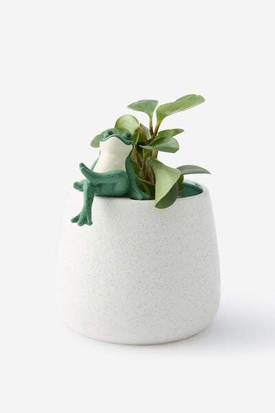 Hanging Around Planter, FROG