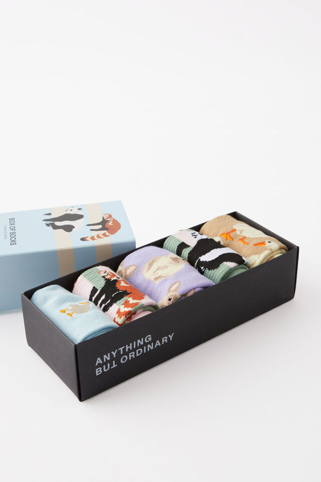Box Of Socks, ANIMALS (S/M)