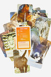 Name That Bumhole Game - Dino Edition, ASSORTED - alternate image 3