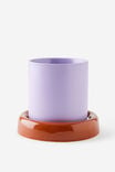 Select Colour: GINGERBREAD / ORCHID