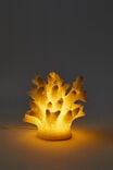 Resin Shaped Lamp, CORAL - alternate image 2