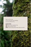 Personalised Frosted Glass Candle - Forest Green, HIDDEN FOREST GREEN - alternate image 4