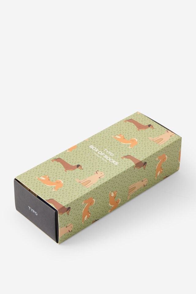 Box Of Socks, DOGS & FOXES (M/L)