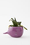 Midi Shaped Planter, BEETROOT - alternate image 2