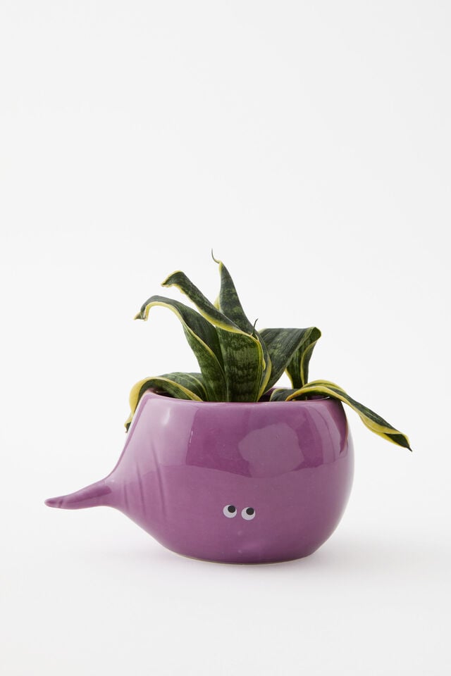 Midi Shaped Planter, BEETROOT