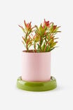 Bulbous Planters, OLIVE MOSS / STRAWBERRY MILK - example image 2