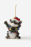 RACOON IN LIGHTS