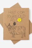 HOLY COW