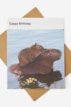 CAPPY BIRTHDAY