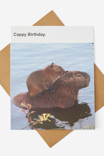 Funny Birthday Card, CAPPY BIRTHDAY