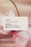 Frosted Reed Diffuser Set, PETAL DRIFT PINK - alternate image 4