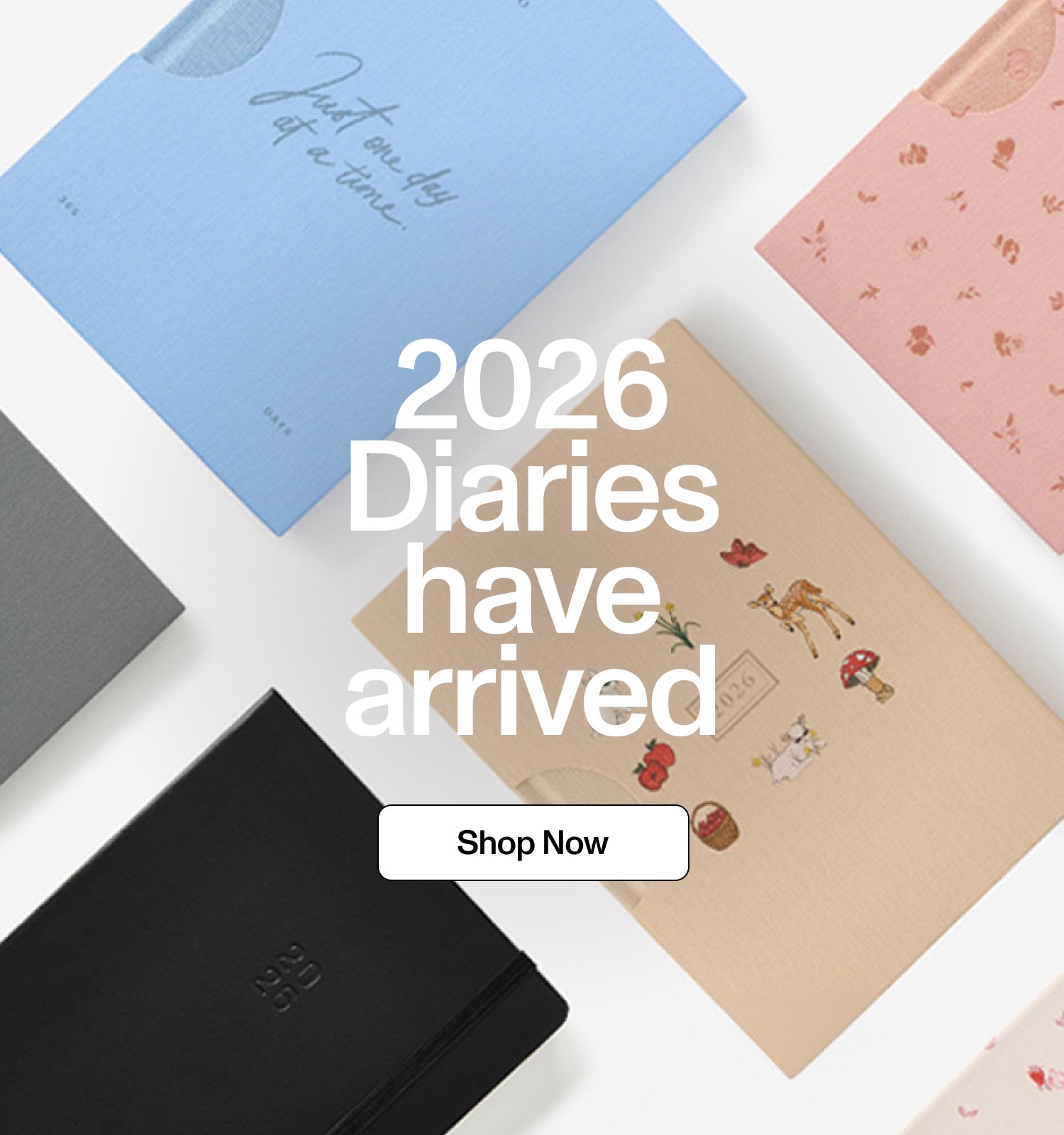 2026, Done Write. Shop Now