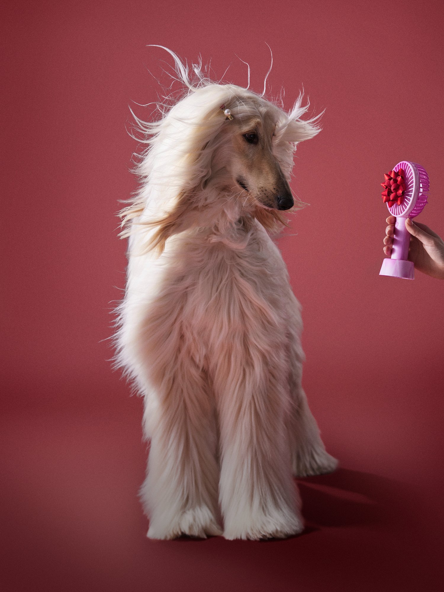 Secret Santa. Seriously good gifts. Shop now.