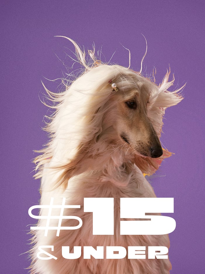 $15 & Under. Shop Now.