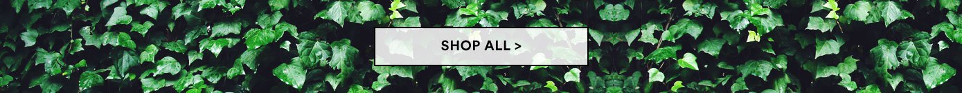 Shop All